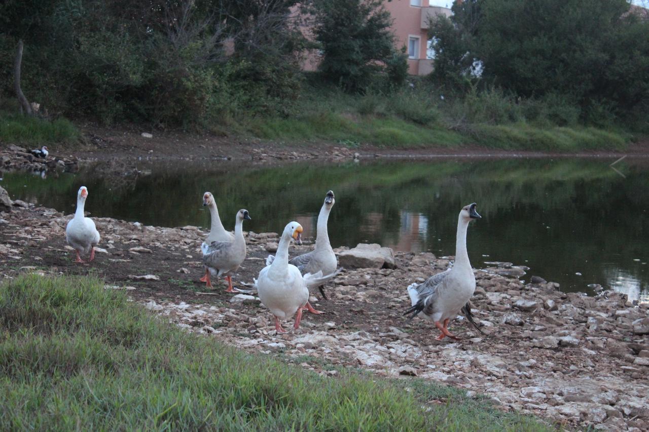 Apartments Barbic Medulin Zewnętrze zdjęcie